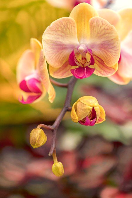 Beautiful Nature image