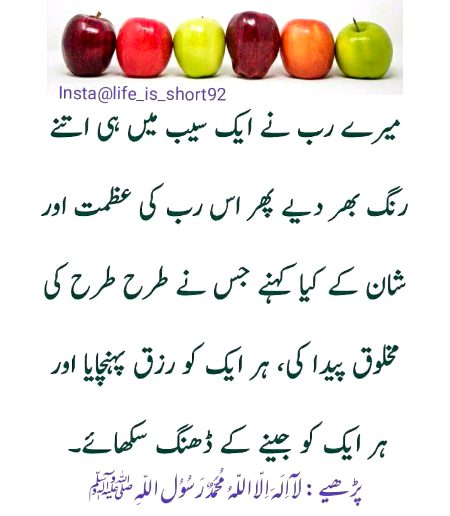 Islamic Quotes image