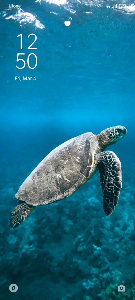Beautiful Nature image