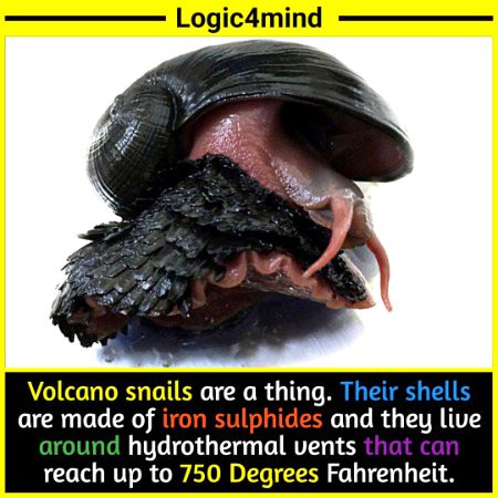 Interesting Posts image