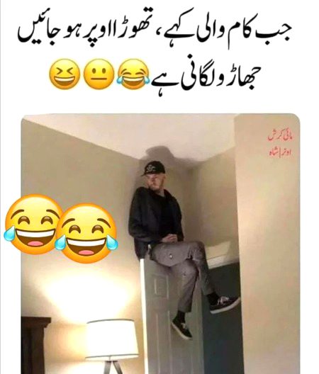 Memes & Satire image
