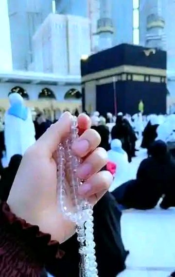 Beautiful Structures image