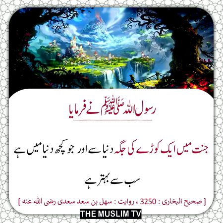 Islamic Quotes image