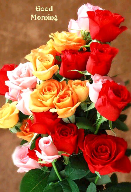 Beautiful Nature image