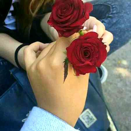 Beautiful Nature image