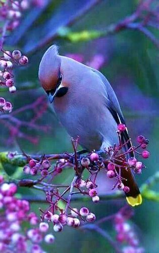 Beautiful Nature image