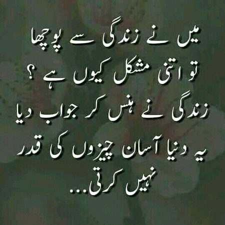 🌹 merijan-16 🌹