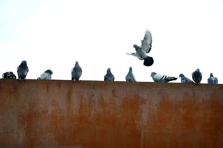 کچھ باتوں اور انسانوں کو میں نے کبھی
 معاف نہیں کرنا پھر چاہے آہ لگے یا بدعا_🤎