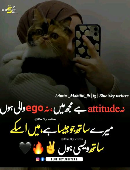 Attitude Poetry image