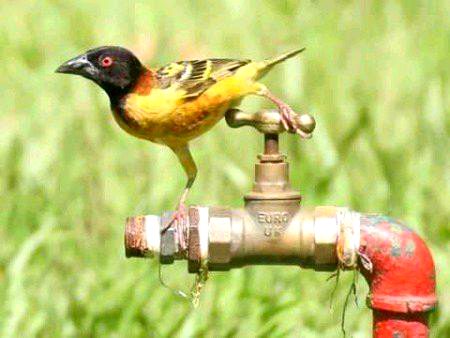 Beautiful Nature image