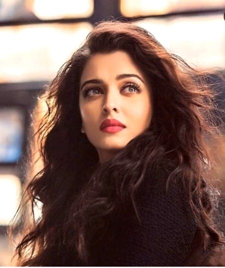Indian Celebs image