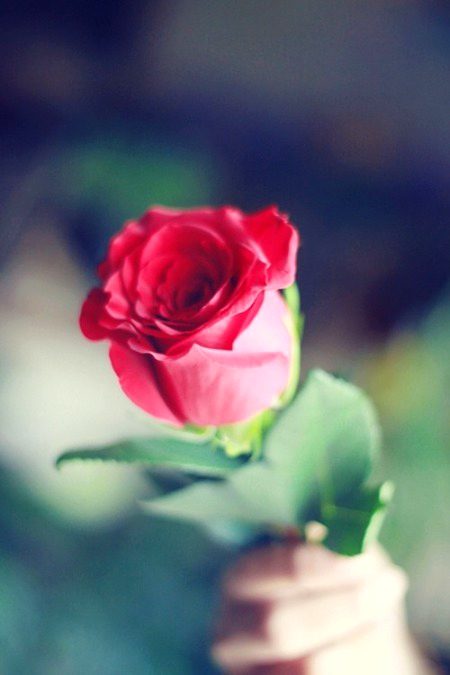 Beautiful Nature image