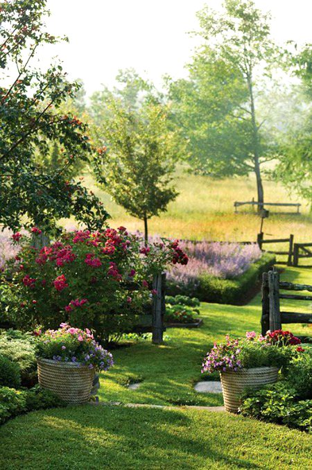 Beautiful Nature image