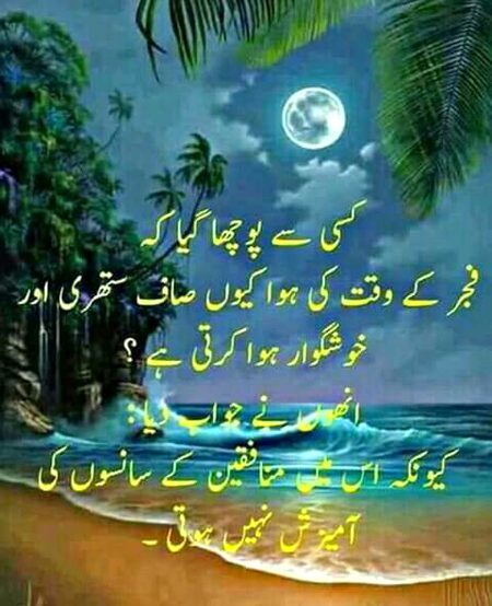 بیشک 🌹🍀🌹🍀🌹🍀