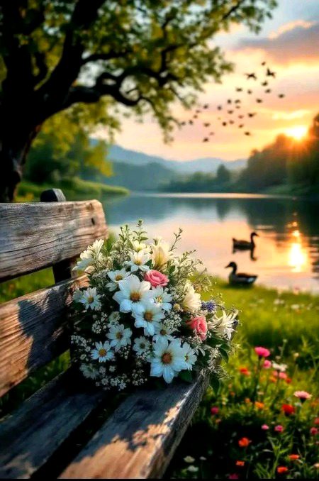 Beautiful Nature image