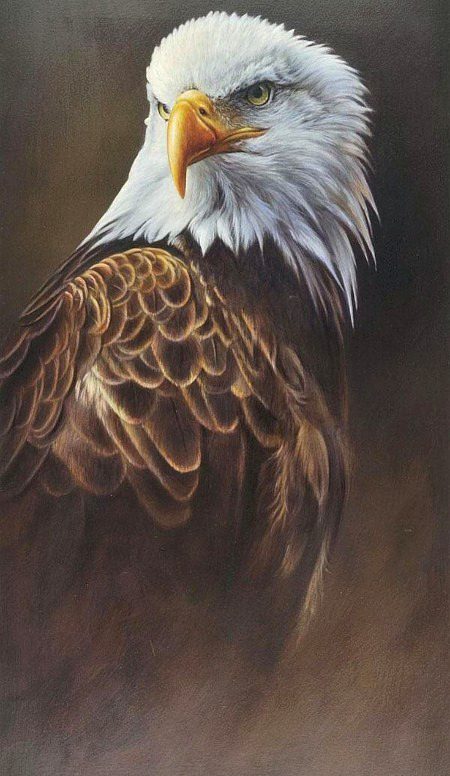 Paintings image