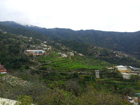 My sweet village after 🌧️☔