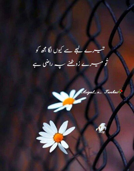 Sad Poetry image
