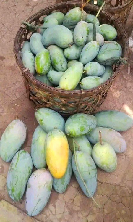 Beautiful Nature image