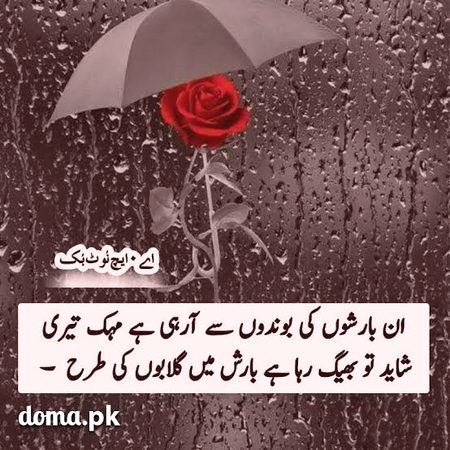 بارش ہو اور تیرا ساتھ ہو شکر تو بنتا ہے
🥀❤️