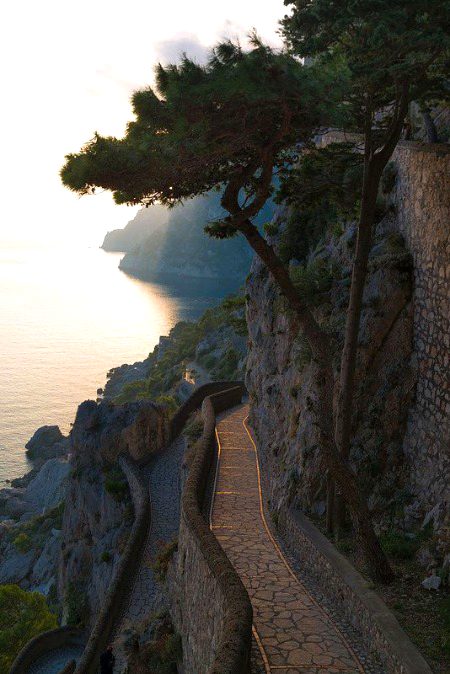 Beautiful Nature image