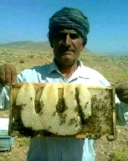 Best Photo SubhaALLHA