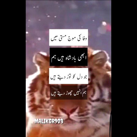 Attitude Poetry image