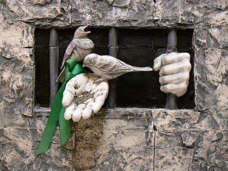 آج قدرت کے کھیل کا عجب نظارہ دیکھا۔
آزاد پنچھی اور قید زمانہ دیکھا❥