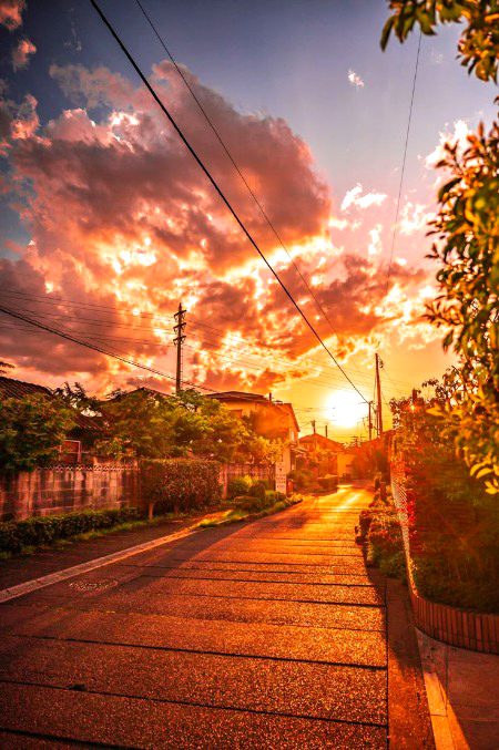 Beautiful Nature image