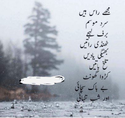 Attitude Poetry image