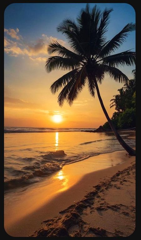 Beautiful Nature image
