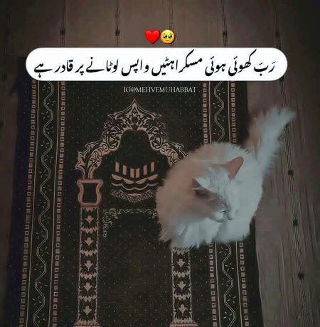 Motivational Quotes image