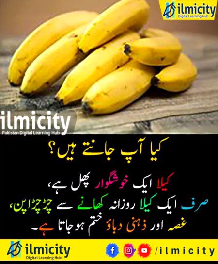 Interesting Posts image