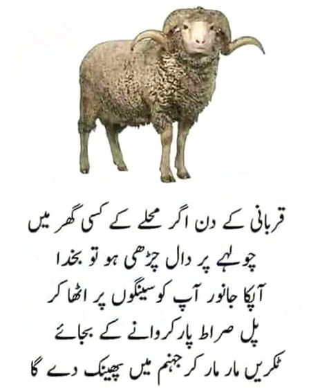 Eid mubarak