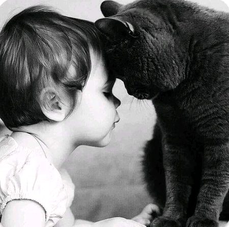 کبھی کبھی وہ نبھانے کی بات کرتا ہے
وہ بگڑی بات بنانے کی بات کرتا ہے
وہ مجھ کو یہ نہیں کہتا کہ جاؤ مرجاؤ
وہ مجھ کو چھوڑ جانے کی بات کرتا ہے!
چھپا کے رکھتا ہوں اشک آنکھوں میں
مگر وہ پھر بھی رلانے کی بات کرتا ہے
میں روٹھتا ہوں تو خود ہی مان جاتا ہوں 
بھلا کہاں وہ منانے کی بات کرتا ہے!
مرے پاس ہے لیکن مرا نہیں صاحب!
وہ میرے ساتھ زمانے کی بات کرتا ہے
عجیب دل ہے میرا صبر ہی نہیں کرتا
بگڑ کے حشر اٹهانے کی بات کرتا ہے!
🖤