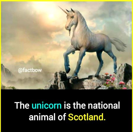 Interesting Posts image