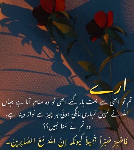 Motivational Quotes image