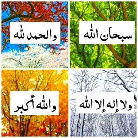 Islamic Quotes image