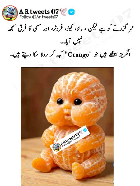 Memes & Satire image