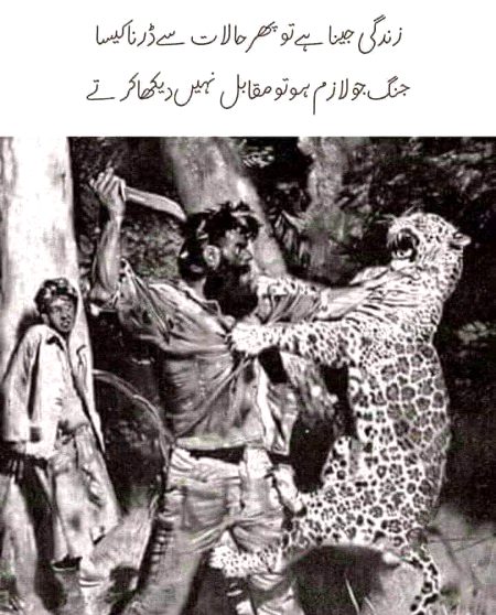 Yeh cheez