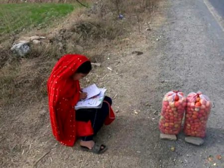 ہم ٹھہر جاتے ہیں تتلی کی کہانی سننے 
اتنی خوشبو ہے بھلا  اسکو کہاں پر رکھیں !! 
हम ठहर जाते हैं तितली की कहानी सुनने 
इतनी ख़ुशबू है भला इसको कहाँ पर रखें!!
خدیجہ الکبرٰی صِدیقیٰ ✍️