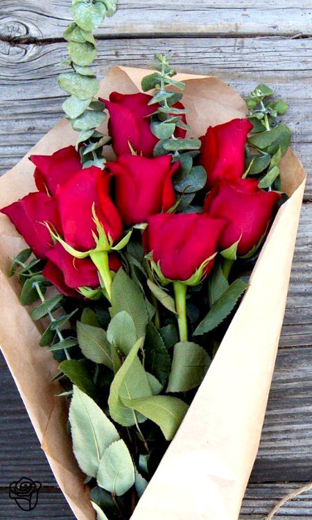 Beautiful Nature image