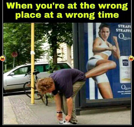 ...๏_๏