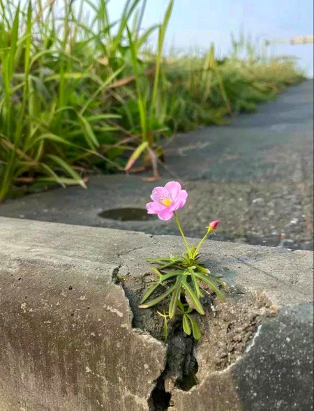 Beautiful Nature image