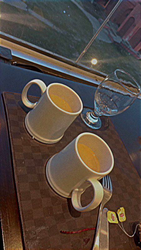 *
چائے کی پیالی میں تصویر وہی ہے، جو تھی 
یوں چلے جانے سے__ مہمان کہاں جاتے ہیں؟
بات یونہی تو نہیں کرتی ہوں __ رُک رُک کر 
کیا بتاؤں کہ مرے دھیان _ کہاں جاتے ہیں؟
☕🥀💨☕