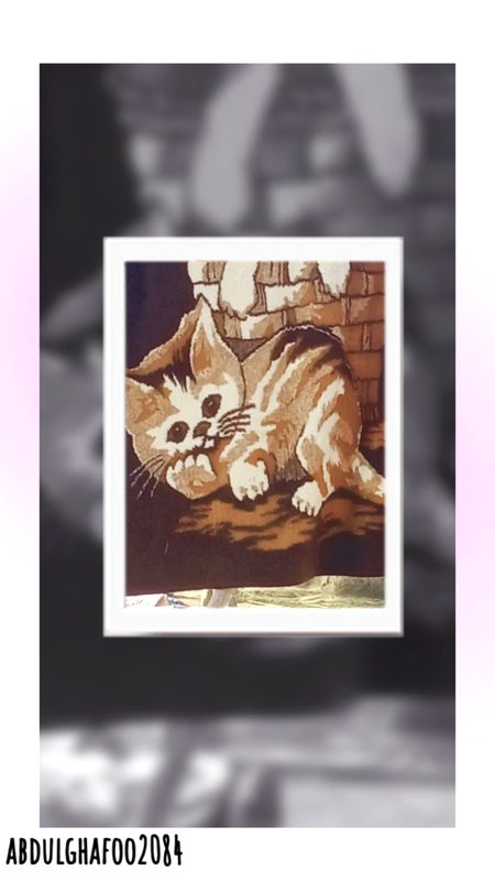 Captured by my mobile 📱