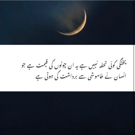 Sad Poetry image