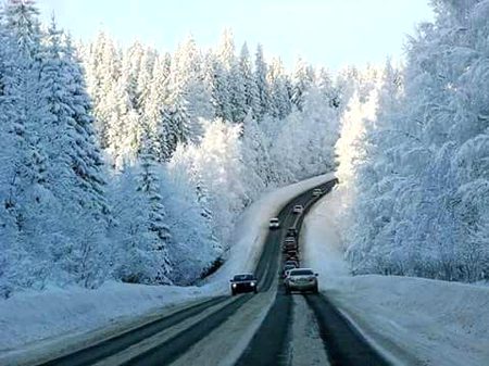 Beautiful Nature image