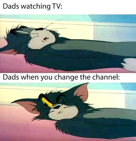 Memes & Satire image