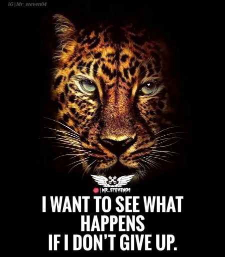 Attitude Quotes image